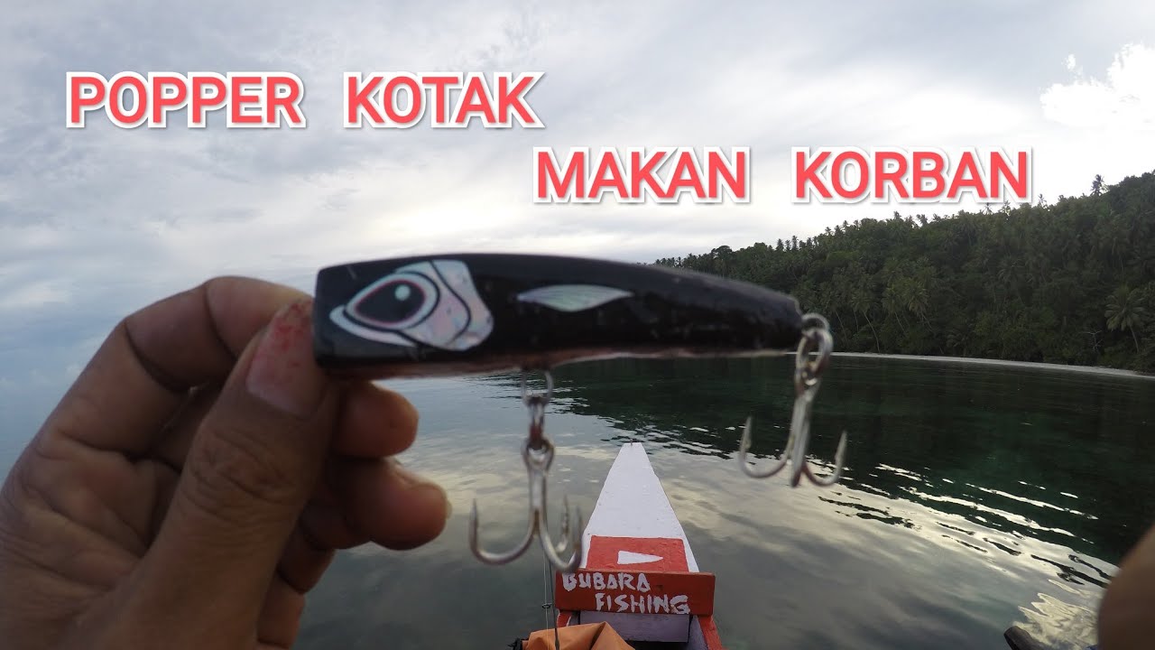 SAMBARAN BERTUBi TUBi 💥