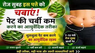 🌿 रोज सुबह इस पत्ते को चबाएं! पेट की चर्बी कम करने का आयुर्वेदिक तरीका | Weight Loss Tips
