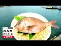 Red Sea Bream - Trails to Oishii Tokyo