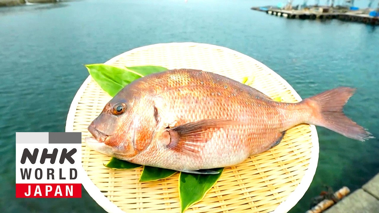 Red Sea Bream - Trails to Oishii Tokyo - YouTube
