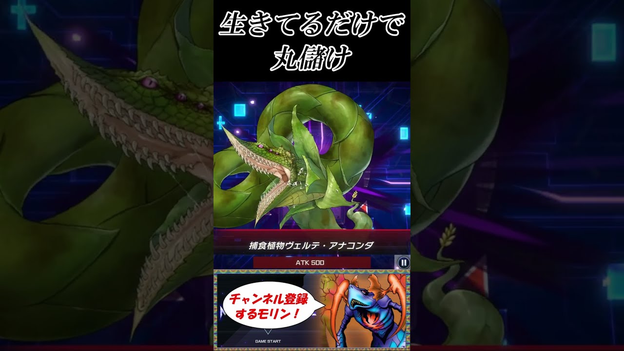 禁止になりそうで禁止にならないカードたち【遊戯王マスターデュエル】