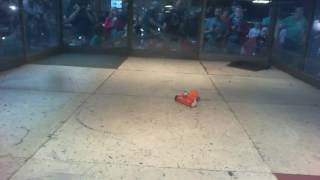 Seattle Bot Bash 2016 Live Stream 13