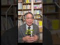 ブレない親は危ない #しつけ #教育 #子育て