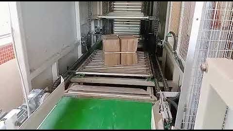 vertical continuous lifter