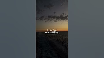 القارئ محمد اللحيدان(والذين لا يشهدون الزور) Reader Mohammed Al-Luhaidan