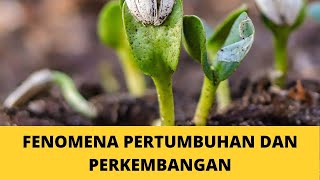 Fenomena Pertumbuhan dan Perkembangan Makhluk Hidup