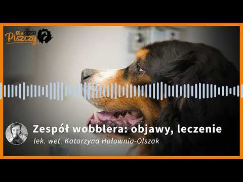 Zespół Wobblera u psa | Lek. wet. Katarzyna Hołownia-Olszak