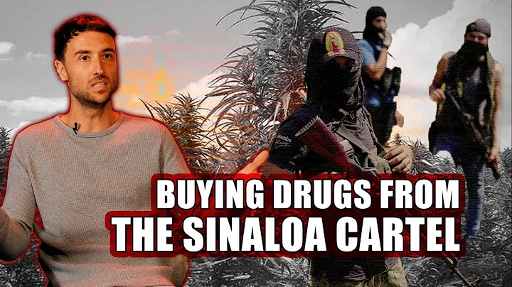 I Was A College Kid Buying Drugs From The Sinaloa ...