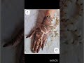 back hand mehndi 💖#alisha #mehndi #viralvideo