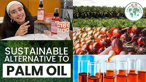 This Invention Is Saving the Rainforest! | Sustainable Alternative to Palm Oil