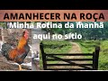 #MINHA ROTINA DA MANHÃ AQUI NO SÍTIO.