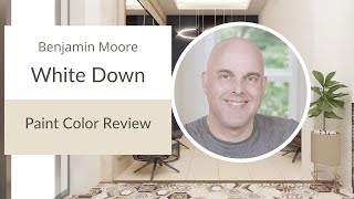 Benjamin Moore White Down Paint Color Review