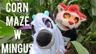 Mingus and Eclipse get lost in a corn maze!!!!