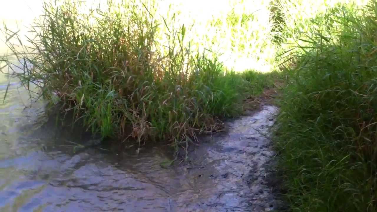 Cricket " gets in for the first time "