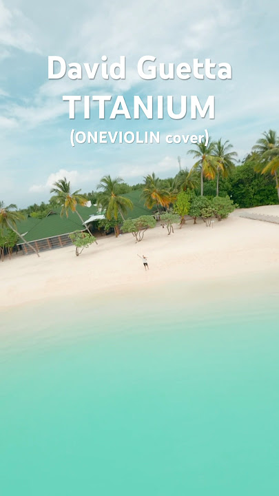 DAVID GUETTA - Titanium (ONEVIOLIN cover) #violin