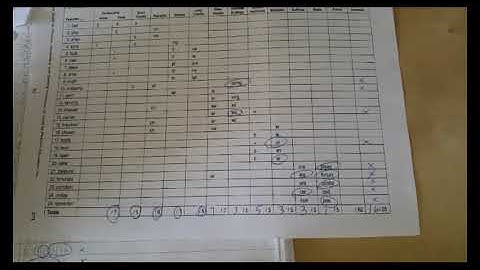 WTW   Assessment and Spelling Stage Placement