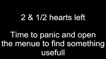 The Legend of Zelda - ALttP randomizer - Race Rando outtakes