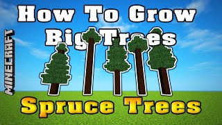 Minecraft • How To Grow Big Trees. Spruce Trees