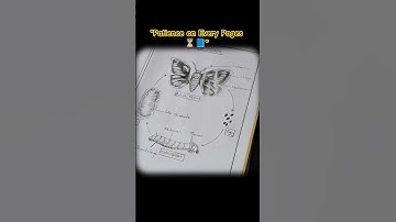 📚BSc Zoology Practical | Hard Work + Patience = Success! 💪 #shorts