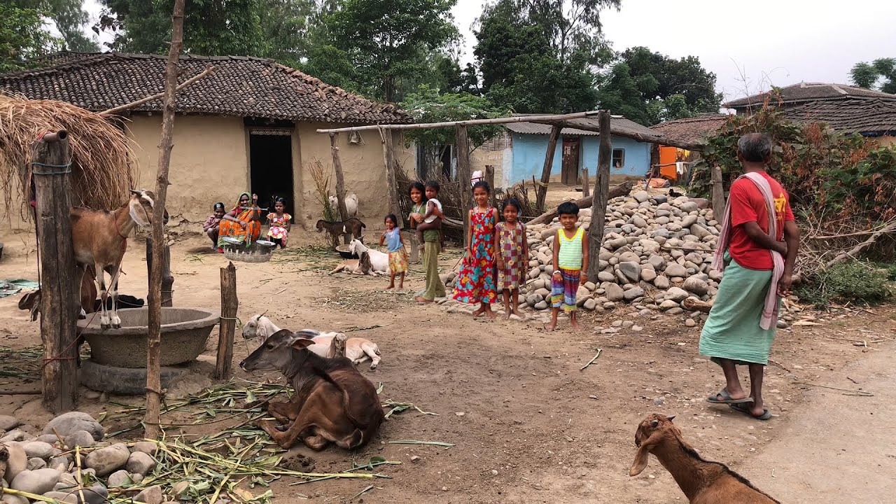 Daily Activities Of Rural Village People || Amazing Country Lifestyle In Nepal || Rural Nepal Life