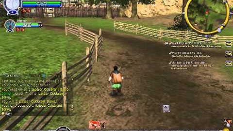 Lotro-human/hobbit starter area part 4