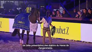 Taloubet Z - Présentation des étalons 2023