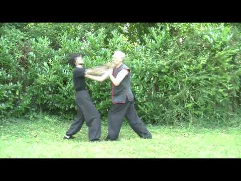 Kung Fu Application #5 : Double Fist Feint!