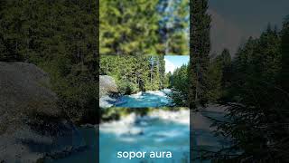 The Healing River: 60 Seconds of Peaceful Water Flow ✨🌊 #ambientmusic #deepsleep #calmyourmind