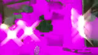 IMG 5144