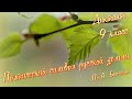 Диктант по русскому языку с проверкой! 9 класс. Поэтический символ русской земли #диктант9класс