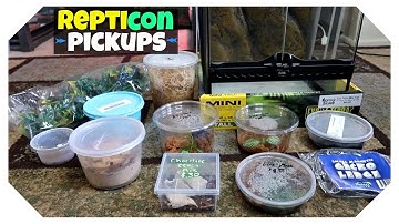 REPTICON PICKUPS!! TWO NEW PETS!