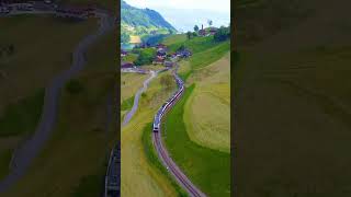 🏎️🐿️ Resimi