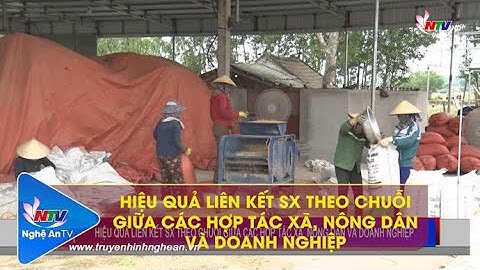 HIỆU QUẢ LIÊN KẾT SX THEO CHUỖI GIỮA CÁC HỢP TÁC XÃ, NÔNG DÂN VÀ DOANH NGHIỆP