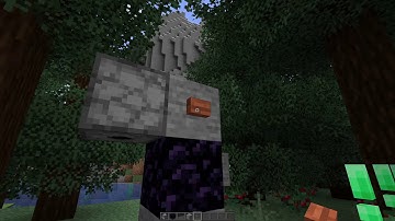 1.16.4 vs 1.16.5 comparison