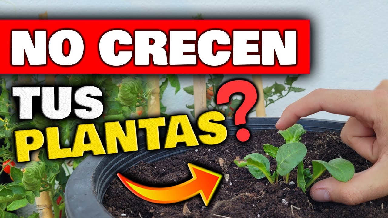 HACER CRECER TUS PLANTAS en 1 MINUTO con ESTOS CONSEJOS | Huertas