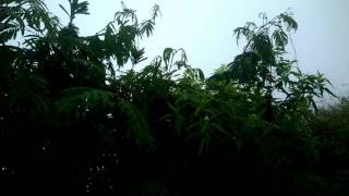 Pleci Merapi Liar #SUKETTEKI