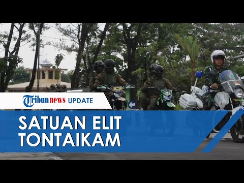 Kejar Kelompok Mujahidin Indonesia Timur, Ini Sepak Terjang Pasukan Elit TNI Tontaikam