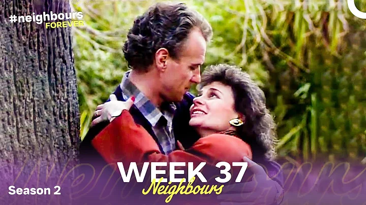 Week 37 | Episodes 351-355 | Neighbours 1986 (Season 2)