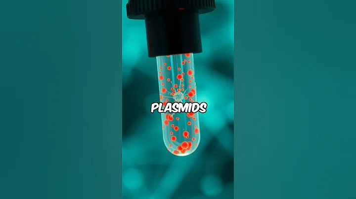 video-07a9d98e-28f1-4593-9df9-eef20943d6d3-1764261310945