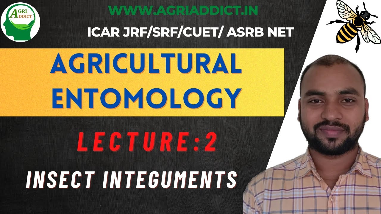 Insect Integument |Lecture-2 |Bimal Sahoo| ICAR JRF/SRF/CUET/AFO