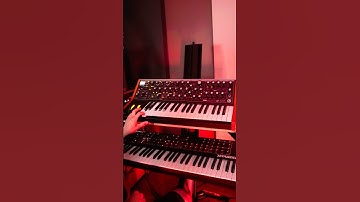 ✨ Moog Subsequent 37 on YTB Rat ✨ #synth #moog #synthesizer #electronicmusic #moogsynthesizer