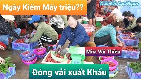 Cách Đóng Vải Thiều Lục Ngạn Xuất Khẩu Trung Quốc l Núi Đồi Lục Ngạn