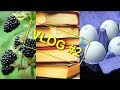 VLOG #2 Ягоды-Грибы/ Книги/ Голубые яйца