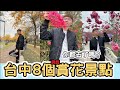 【ManLife】台中ㄧ日遊攻略8個免費賞花景點｜你都去了嗎？｜ 櫻花 風鈴花 九芎葛 小麥 花田2020《阿滿生活｜台中》