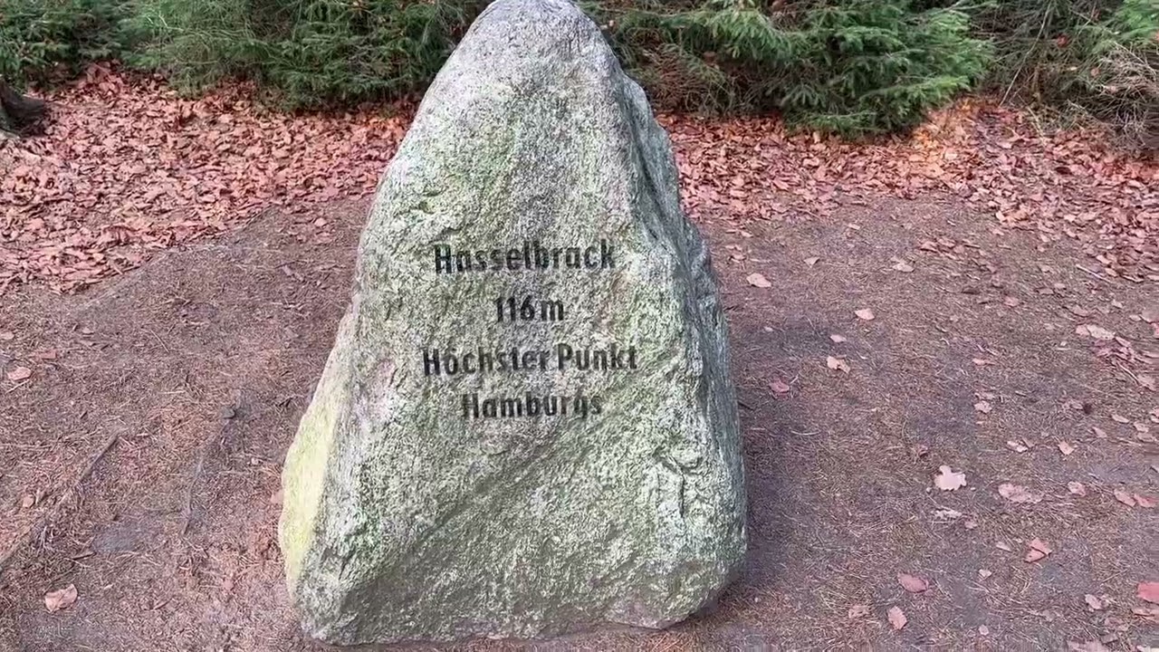 Durch den Wald zum Hasselbrack