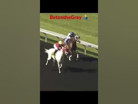 Martina Rojas 1st win on the day. 11-1 Abbey’s Snow White - YouTube