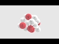 Understanding Nuclear Forces and Reactions