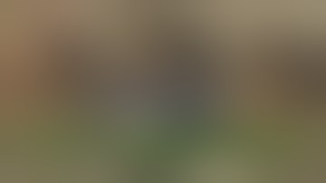 👉 Cá sống… không cần nước? 😱🐠 | Cá phổi Châu Phi kỳ lạ!