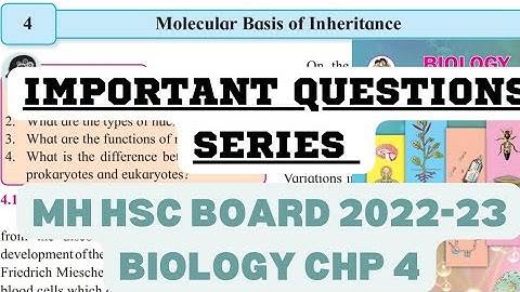 Most important Question #4 | MH HSC Board 12th Biology Chp Molecular Basis of Inheritance
