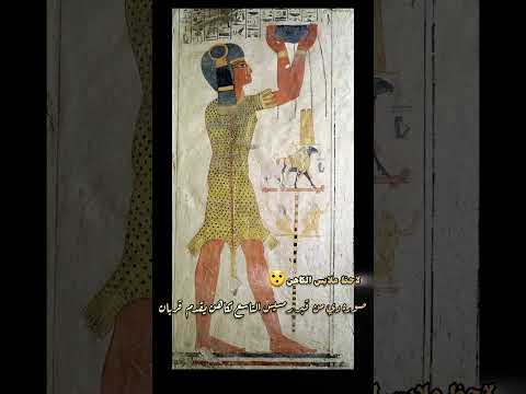 صوره دي من قبر رمسيس التاسع لكاهن يقدم قربان  تاريخ التغطيه اكسبلور تحديات2025 معلومات